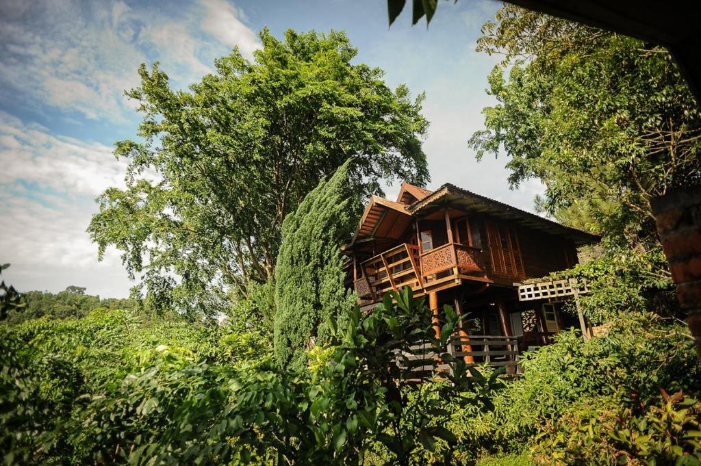 Villa Malihom Private Estate Balik Pulau Esterno foto